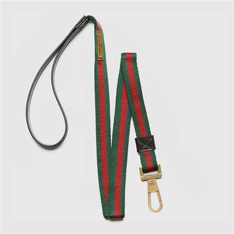 dog leash gucci